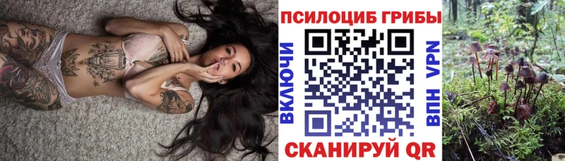 как найти закладки  Керчь  Галлюциногенные грибы MAGIC MUSHROOMS 