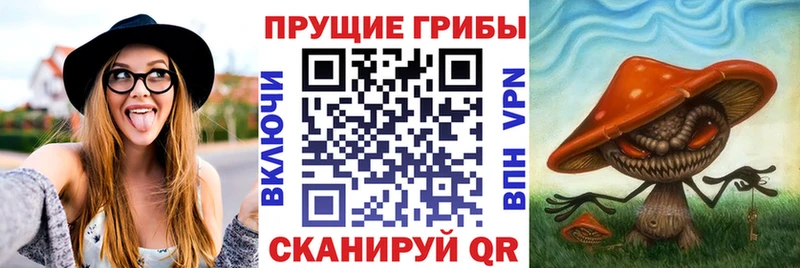 Псилоцибиновые грибы мицелий Керчь
